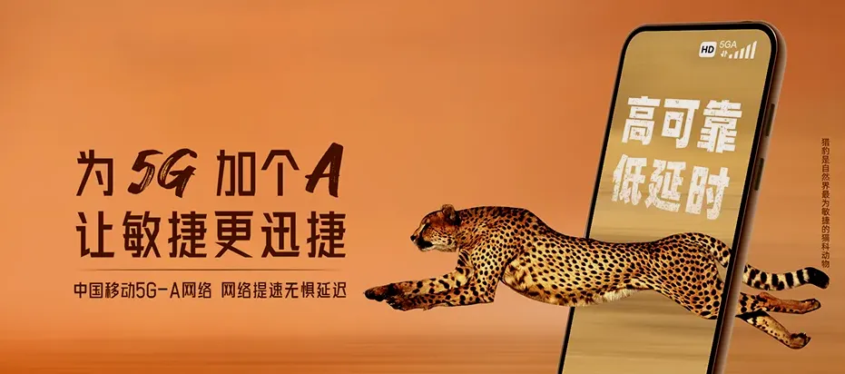 赞皇县赞皇县赞皇镇 移动宽带